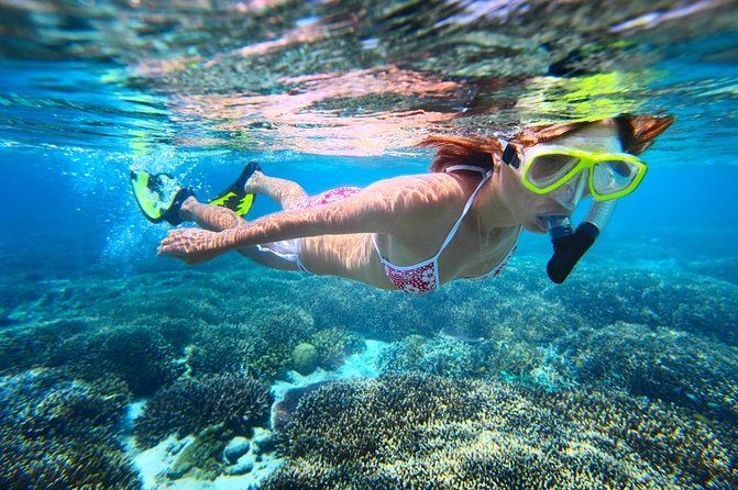 West Oahu Dolphin Watch and Snorkel Sail with Lunch - Snorkeling at a calm-water site