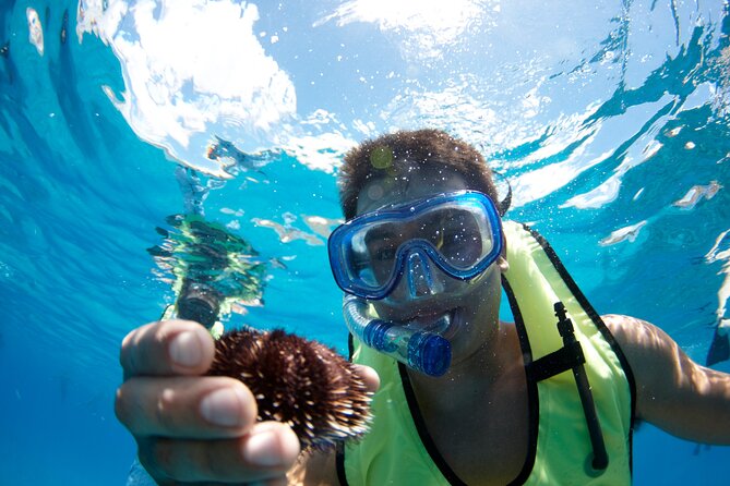 West Oahu Dolphin Watch and Snorkel Sail with Lunch - Who will enjoy this cruise most?