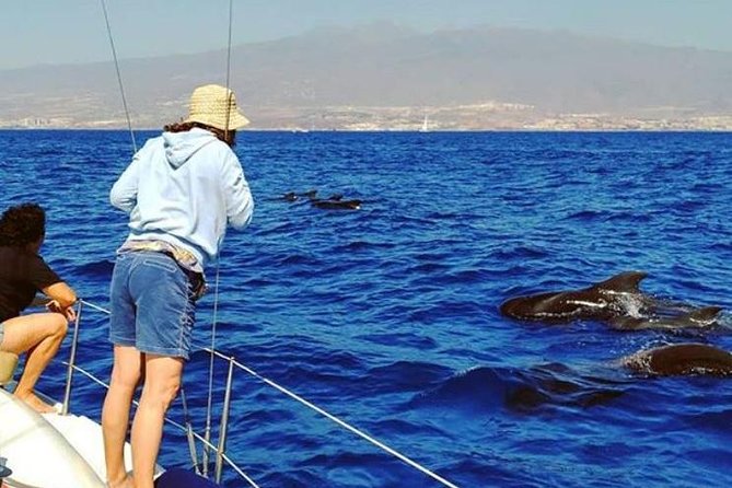 Whale and Dolphin Small Group Sailing from Tenerife South - What the Three Hours Feel Like