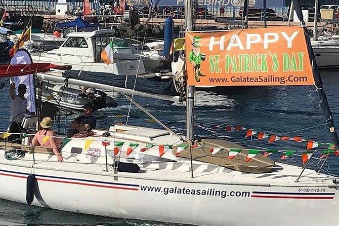 Whale and Dolphin Small Group Sailing from Tenerife South - Price and Value at About $60.49