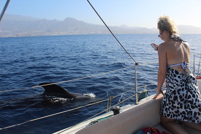 Whale and Dolphin Small Group Sailing from Tenerife South - Heading Offshore for Pilot Whales