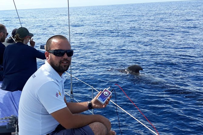 Whale and Dolphin Watching Sailing Boat with Drinks, Snacks and Swimming Time - Swimming and snorkeling near the end of the trip
