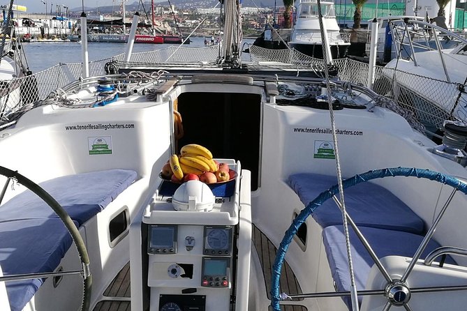 Whale and Dolphin Watching Sailing Boat with Drinks, Snacks and Swimming Time - Who will enjoy this Tenerife boat trip most