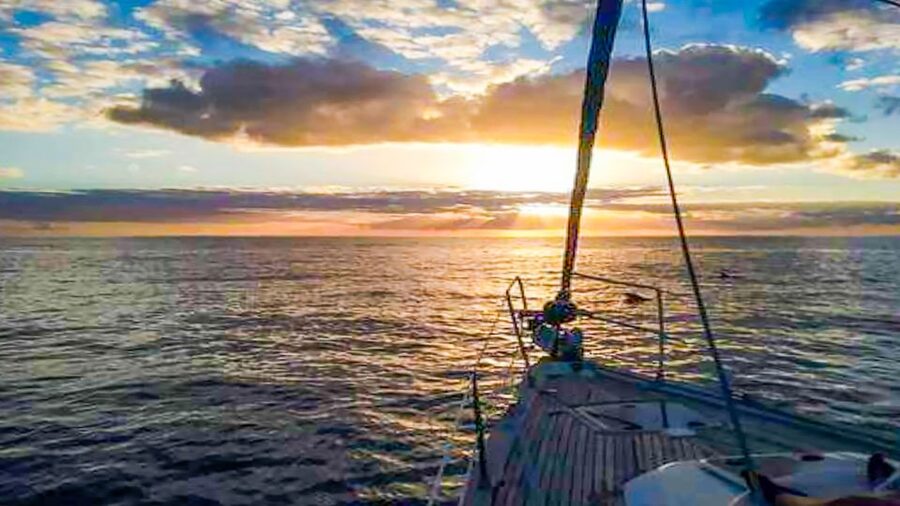Whale and Dolphin Watching Sailing Tour – Los Gigantes (3H) - Practical details for a smooth day