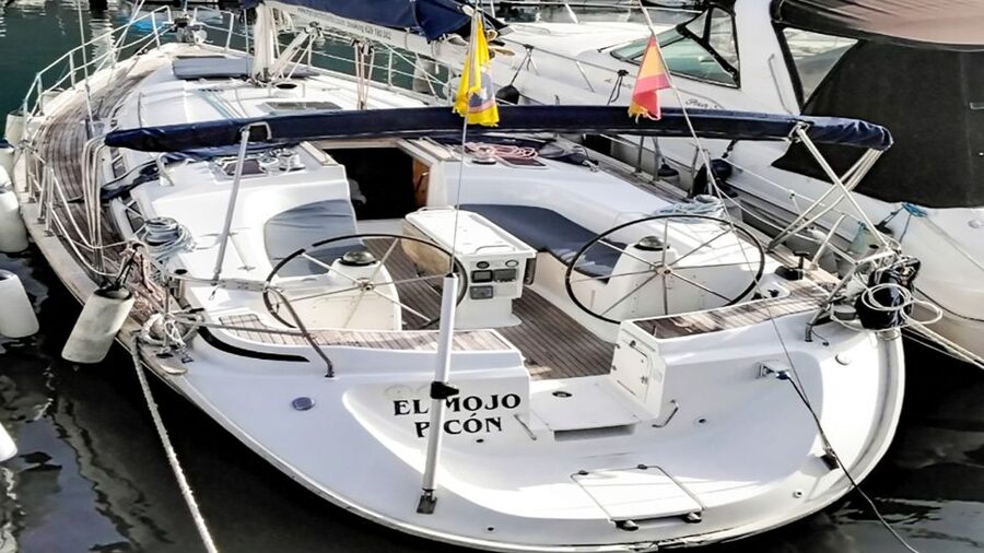 Whale and Dolphin Watching Sailing Tour – Los Gigantes (3H) - Swimming and snorkeling in a natural cove