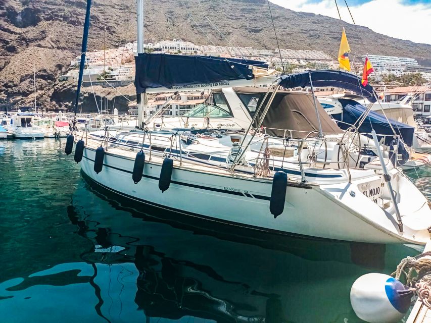 Whale and Dolphin Watching Sailing Tour – Los Gigantes (3H) - Lunch, drinks, and the Spanish touch