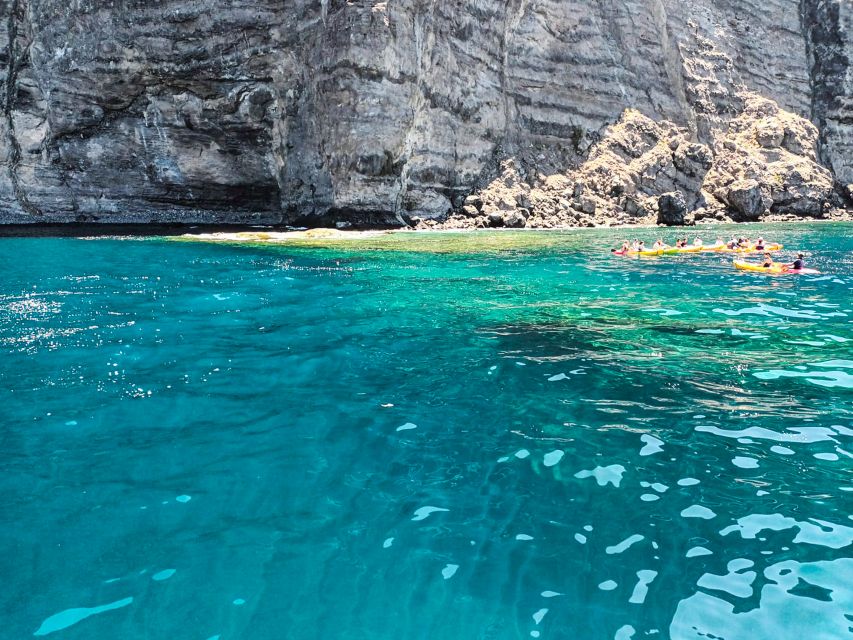 Whale and Dolphin Watching Sailing Tour – Los Gigantes (3H) - Who should book this sailing trip?