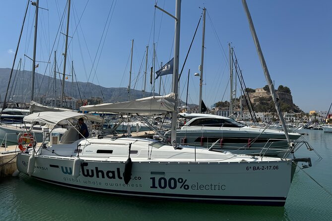 Whale & Dolphin Observation on Electric Sailing Boat in Denia - A quiet start from Dénia at 9:00 a.m.