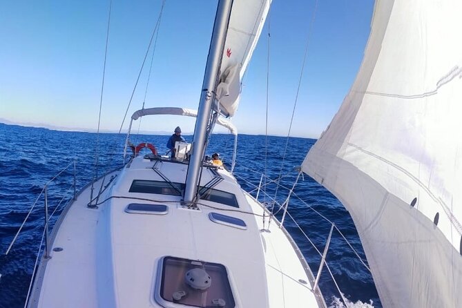 Whale & Dolphin Observation on Electric Sailing Boat in Denia - The electric sailboat experience