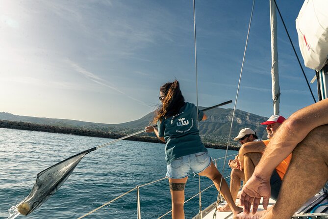 Whale & Dolphin Observation on Electric Sailing Boat in Denia - How rough can the sea feel?