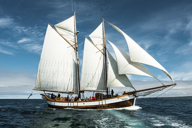 Whale Watching on a Traditional Oak Sailing Ship from Husavik - Wind, waves, and seasickness
