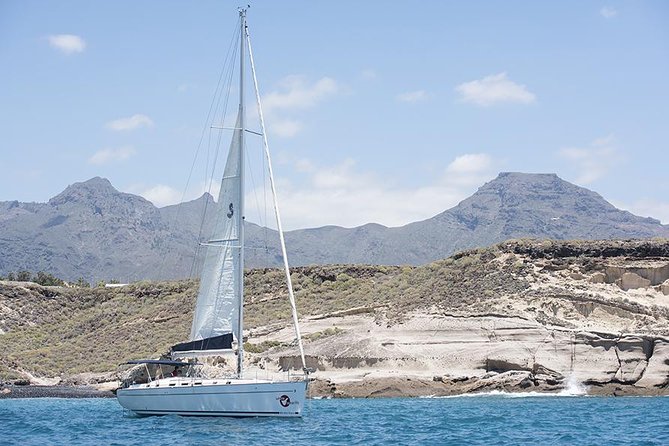 Whales & Dolphins watching in exclusive sailboat - Sandwiches, drinks, and a small-boat lunch