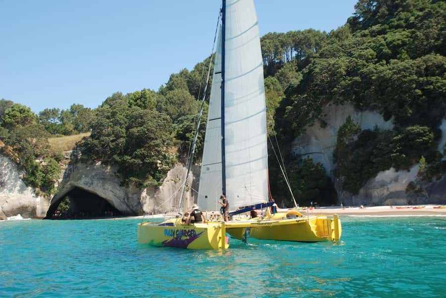 Whitianga: Sailing Trip to Cathedral Cove - Key points at a glance