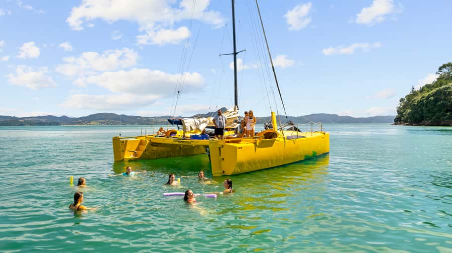 Whitianga: Sailing Trip to Cathedral Cove - A spacious catamaran made for comfort