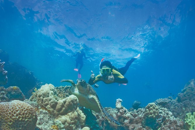 Whitsunday Islands Sail, SUP & Snorkel Tour- Small group - Why this Whitsunday sailing trip is different