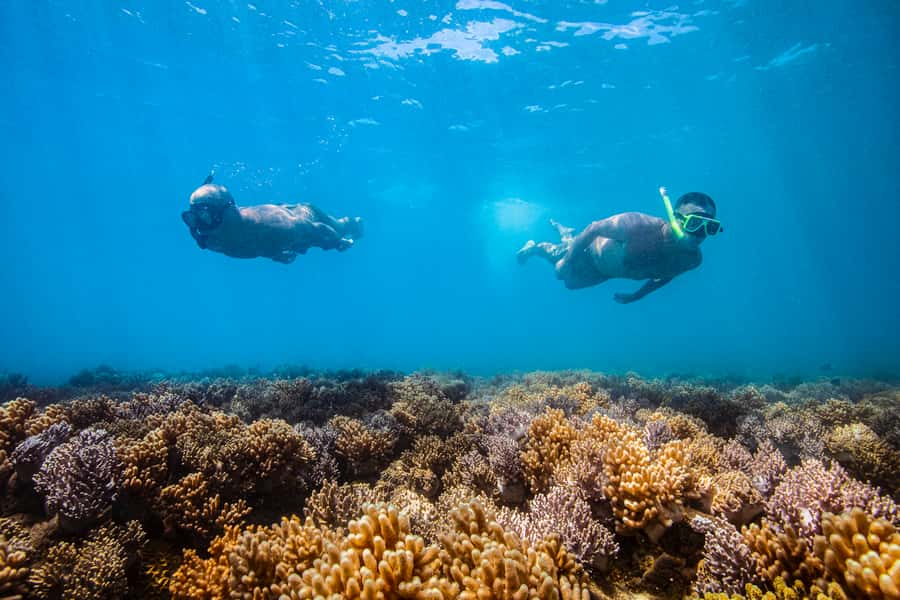 Whitsundays Sailing & Snorkelling Day Tour – All Inclusive - The banana boat is the day’s loudest moment