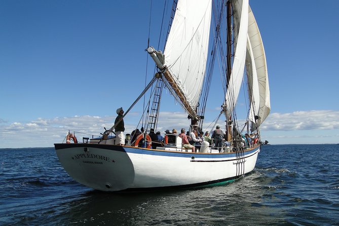 Windjammer Classic Day Sail from Camden, Maine - The Appledore II is part of the experience